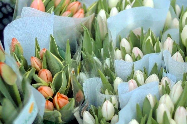 五本现代言情小说推荐，偏现实的文笔好文-有文学