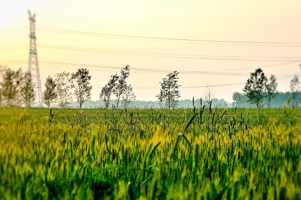 《七零穿书之厨神知青》小说书评，作者范江江（薛妙VS廖蔺）-有文学