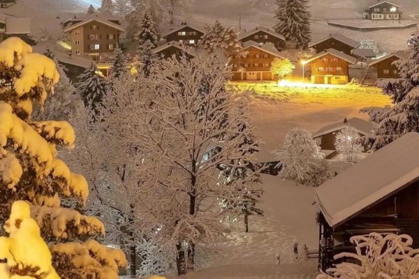 小说《明天去看雪好吗》书评,作者秦方好(孟寒舟VS顾南嘉)-有文学