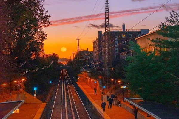 希夷的小说《没有真爱是一种悲伤》书评,(陆琪VS肖亦群)-有文学