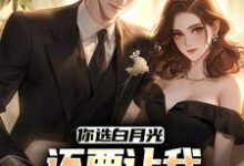 你选白月光,还要让我继续当舔狗?小说有没有完整的免费版本在线阅读?-有文学