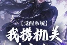 寻找觉醒系统：我携机关来复仇小说的最新更新章节-有文学