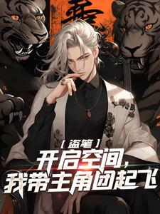 盗笔：开启空间，我带主角团起飞这本小说完结了吗？免费查看最新章节