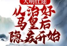大明仕途：从治好马皇后隐疾开始小说全文哪里可以免费看？-有文学