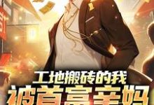 工地搬砖的我，被首富亲妈找回家刘帅小说大结局免费试读-有文学