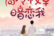 重生:死后才知,高冷校草暗恋我黎昕浅沈慕宸,重生:死后才知,高冷校草暗恋我完整版最新章节-有文学
