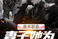 在线免费阅读我升职后,妻子她为何不开心?完整小说-有文学