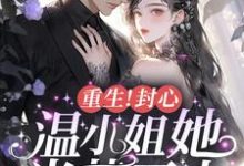 重生！封心！温小姐她光芒万丈小说阅读，重生！封心！温小姐她光芒万丈完结版-有文学
