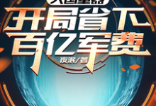 大国重器：开局省下百亿军费小说的最新章节在哪里更新？免费追踪阅读-有文学