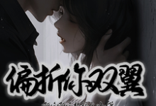 偏折你双翼何苏魏靳臣小说免费阅读-有文学