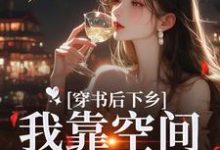 穿书后下乡，我靠空间躺平咯这本小说在哪里可以看？哪里有免费试读章节？-有文学