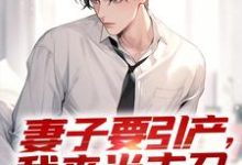 小说《妻子要引产，我来当主刀》章节免费阅读-有文学