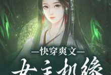 快穿爽文：女主机缘全归我叶南烟陆淮阳，快穿爽文：女主机缘全归我章节在线阅读-有文学