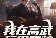 小说《我在高武玩巴雷特,一枪打破光年》在线章节阅读-有文学