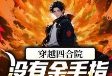 穿越四合院：没有金手指也能撕禽兽小说最新章节在哪里可以读到？-有文学