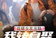 已完结小说《目睹女友出轨,我转身娶了她姐姐》最新章节-有文学