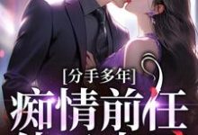 小说完整版《分手多年,痴情前任他又来了!》免费阅读-有文学