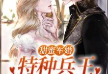 甜蜜军婚：特种兵王宠她入骨！洛芊允陆云峥小说在线章节目录阅读最新章节-有文学