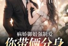 病娇御姐强制爱,你带俩分身过分了这本小说怎么样?免费在线阅读试试-有文学