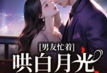 完结版《男友忙着哄白月光,我转手搬家》章节目录在线阅读-有文学