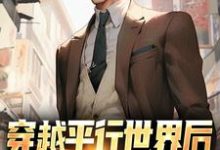 已完结小说《穿越平行世界后，我开始环球旅行》最新章节-有文学