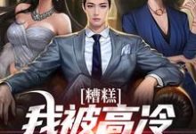 已完结小说《糟糕！我被高冷御姐缠上了》在线章节阅读-有文学