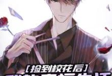 完整版《捡到校花后,我的幸福生活开始了》小说免费阅读-有文学