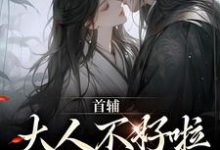 在线寻找首辅大人不好啦,夫人她跑了!小说的无删减版本-有文学