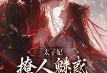 太子妃撩人魅惑,太子纵情坠落李沐宸云薇薇小说在线章节免费阅读-有文学