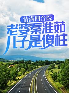 何大清傻柱小说情满四合院：老婆秦淮茹，儿子是傻柱完整版阅读