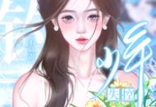 钓系美人撩完就跑,高冷少年失控了谢宴沈稚颜在线章节免费阅读-有文学