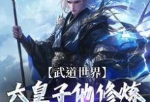 完结版《武道世界:六皇子他修炼修成逆子啦》免费阅读-有文学