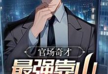 小说《官场奇才：最强靠山竟是我自己》章节免费阅读-有文学