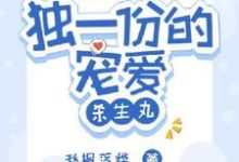 免费在线阅读独一份的宠爱【杀生丸】小说的正规网站有哪些？-有文学