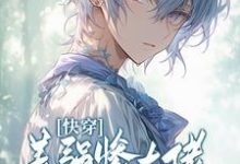 完整版的快穿：美强惨大佬情迷钓系美人小说在哪里可以免费读到？-有文学