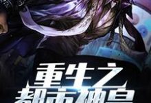 重生之都市神皇小说的最新章节在哪里更新?免费追踪阅读-有文学