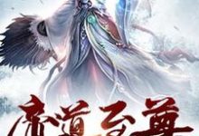 叶尘完整版《圣道至尊》小说免费阅读-有文学