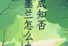 小说《穿成知否墨兰怎么办》完整版在线章节免费阅读-有文学