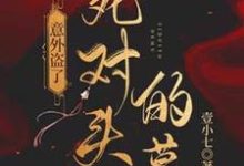 小说《意外盗了死对头的墓》章节免费阅读-有文学