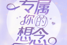 完结版《专属你的想念》章节阅读-有文学