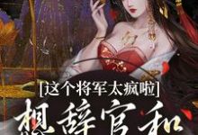 完结版《这个将军太疯啦，想辞官和夫人贴贴》章节阅读-有文学