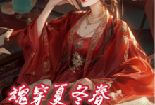 已完结小说《夏冬春穿越日记:我与华妃二三事》章节在线阅读-有文学