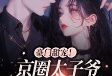 小说《豪门甜宠!京圈太子爷是恋爱脑》章节免费阅读-有文学