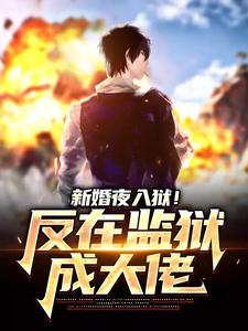 哪里能找到新婚夜入狱！反在监狱成大佬小说的最新更新和免费章节？