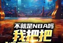 《不就是NBA吗，我把把都是MVP》小说林克章节章节免费在线阅读-有文学