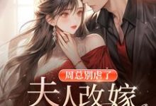 《周总别虐了，夫人改嫁你小叔啦！》小说陈曦周霆琛章节章节免费在线阅读-有文学