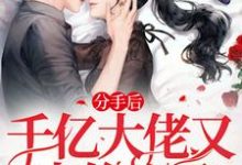 分手后，千亿大佬又来偷心了小说的免费电子版在哪里可以下载或阅读？-有文学