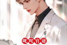 叱咤官途：一路青云完整版小说免费阅读，叱咤官途：一路青云小说-有文学