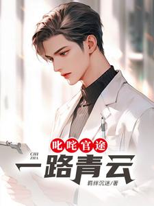 叱咤官途：一路青云完整版小说免费阅读，叱咤官途：一路青云小说