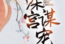 深宫谋宠(苏菱魏宸州)完整版在线免费阅读-有文学